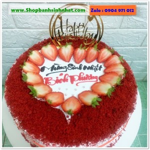 Bánh Sinh Nhật Tiramisu - T198